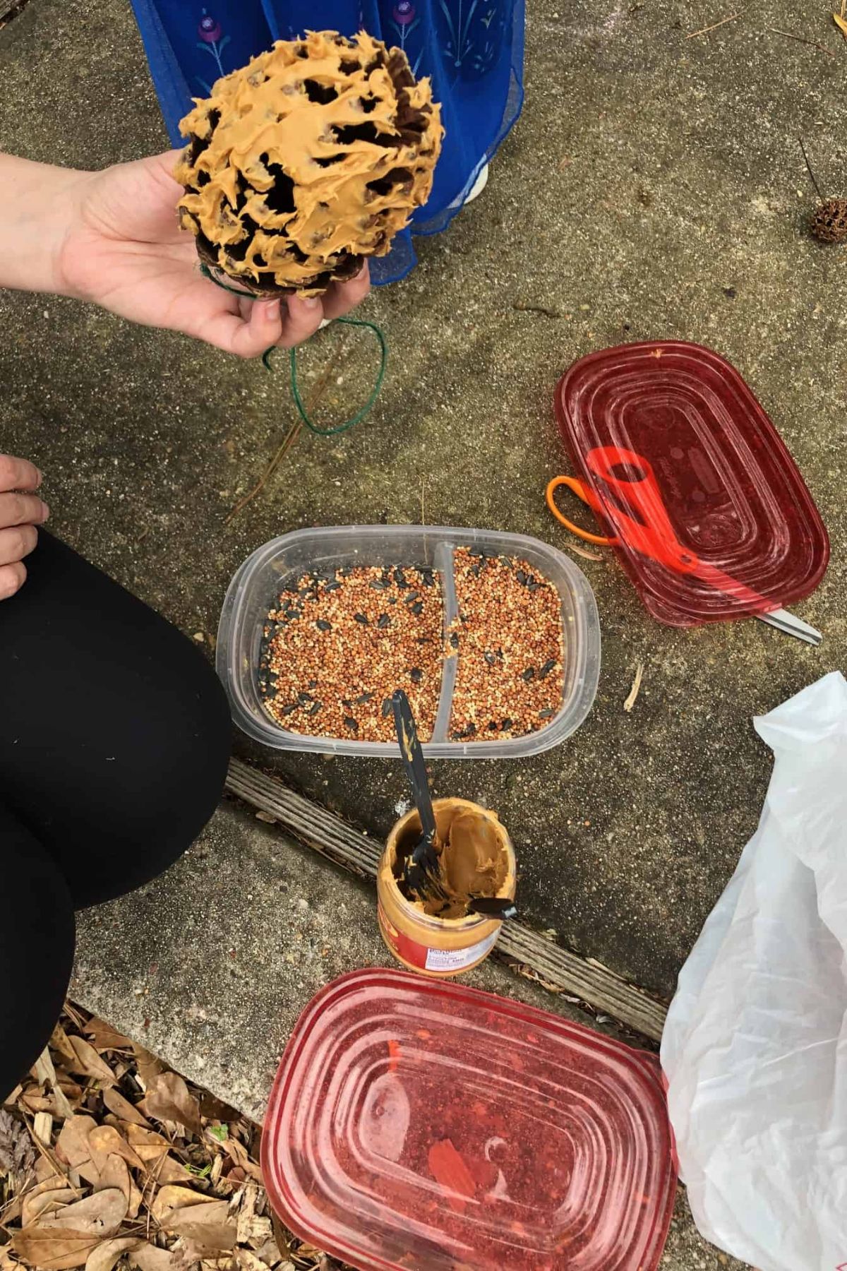 Making a bird feeder