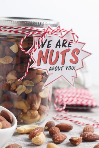 "Nuts About You" Fun Fathers Day Gift with Free Printable