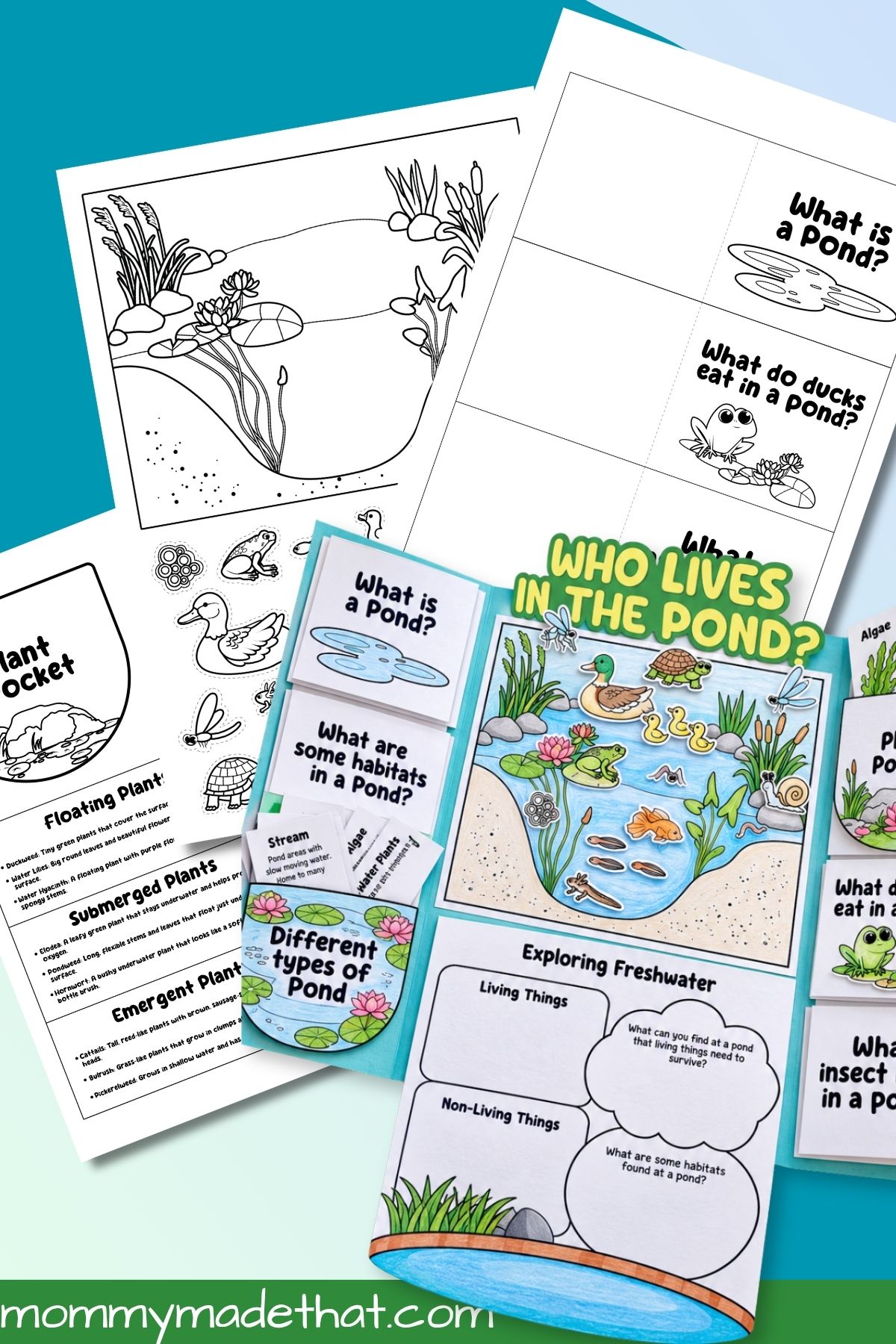 Pond lapbook printable pages beside a colored lapbook with question flaps and plant pockets