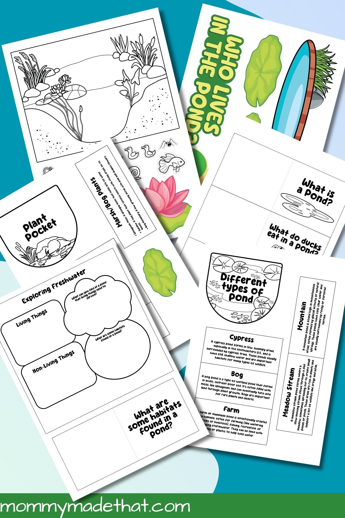 Pond lapbook project with printable pieces, colored pencils, scissors, and glue