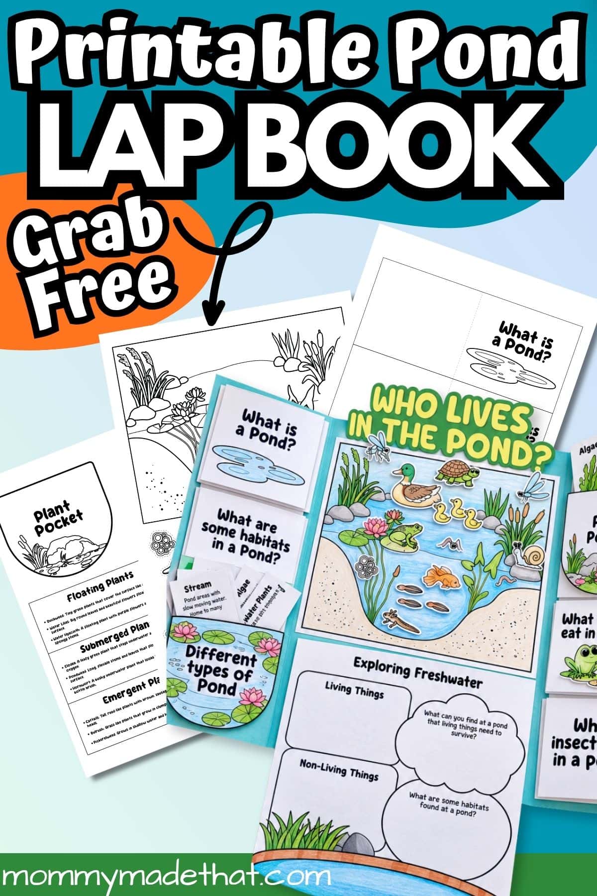 Free printable pond lapbook graphic showing the templates and assembled project