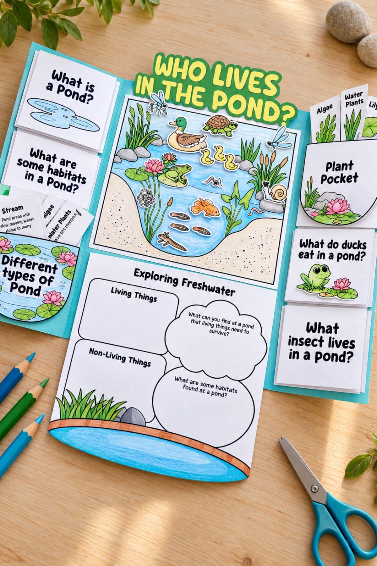 Assembled pond lapbook on a wooden table with a colored pond scene, flaps, and pockets