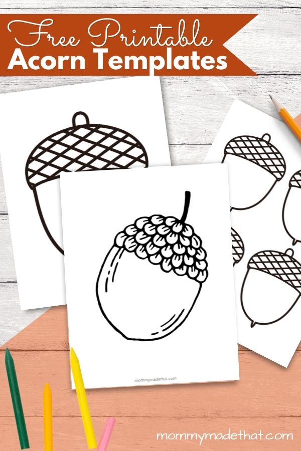 Free Acorn Template Printables