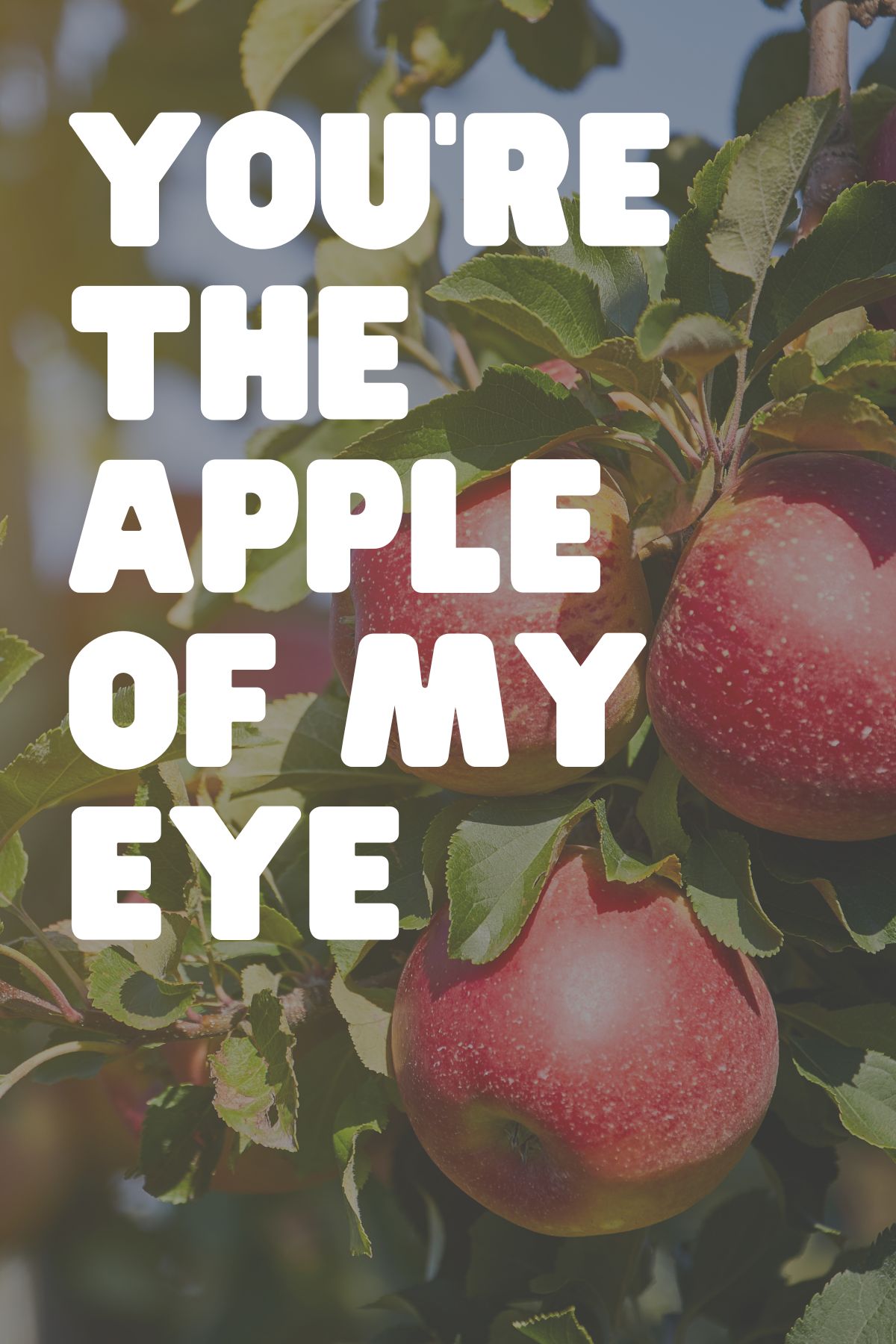 apple saying "You are the apple of my eye"