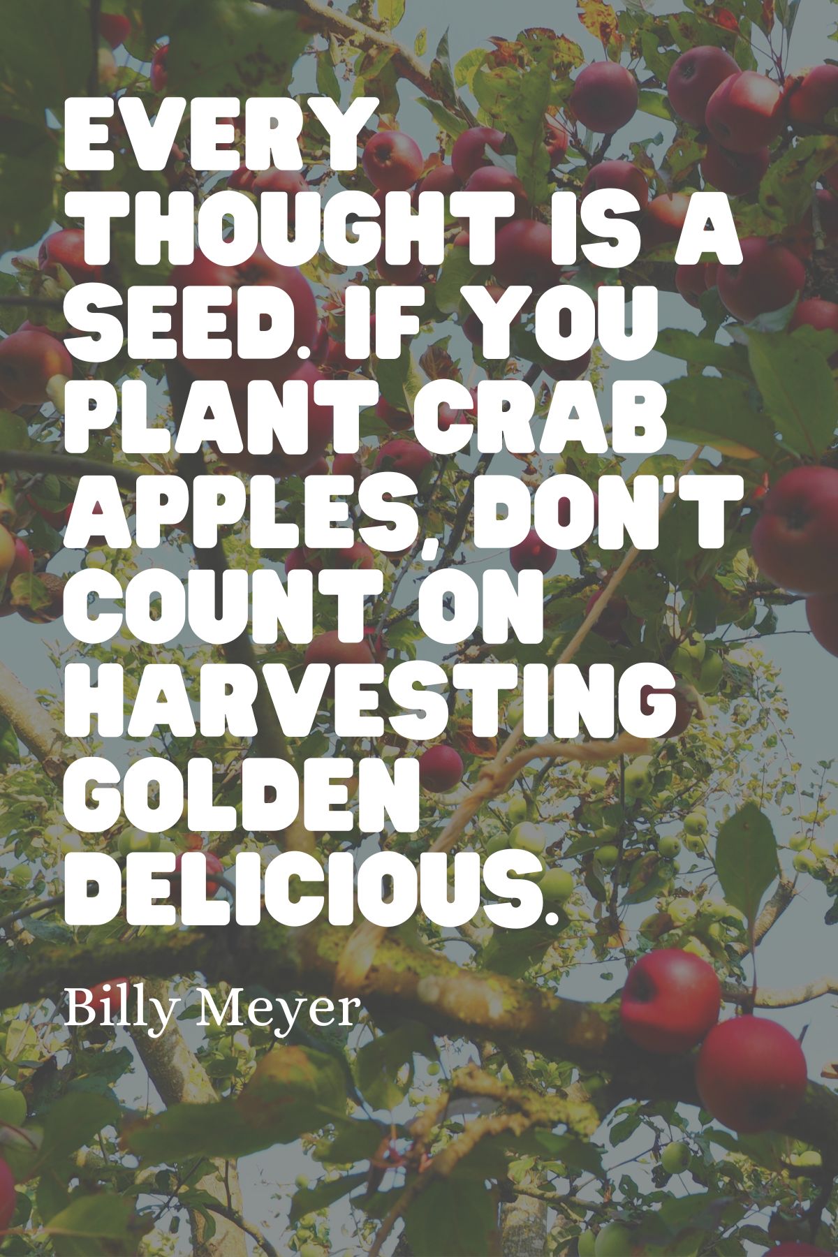 Quote saying "Every thought is a seed. If you plant crab apples, don't count on harvesting Golden Delicious."
