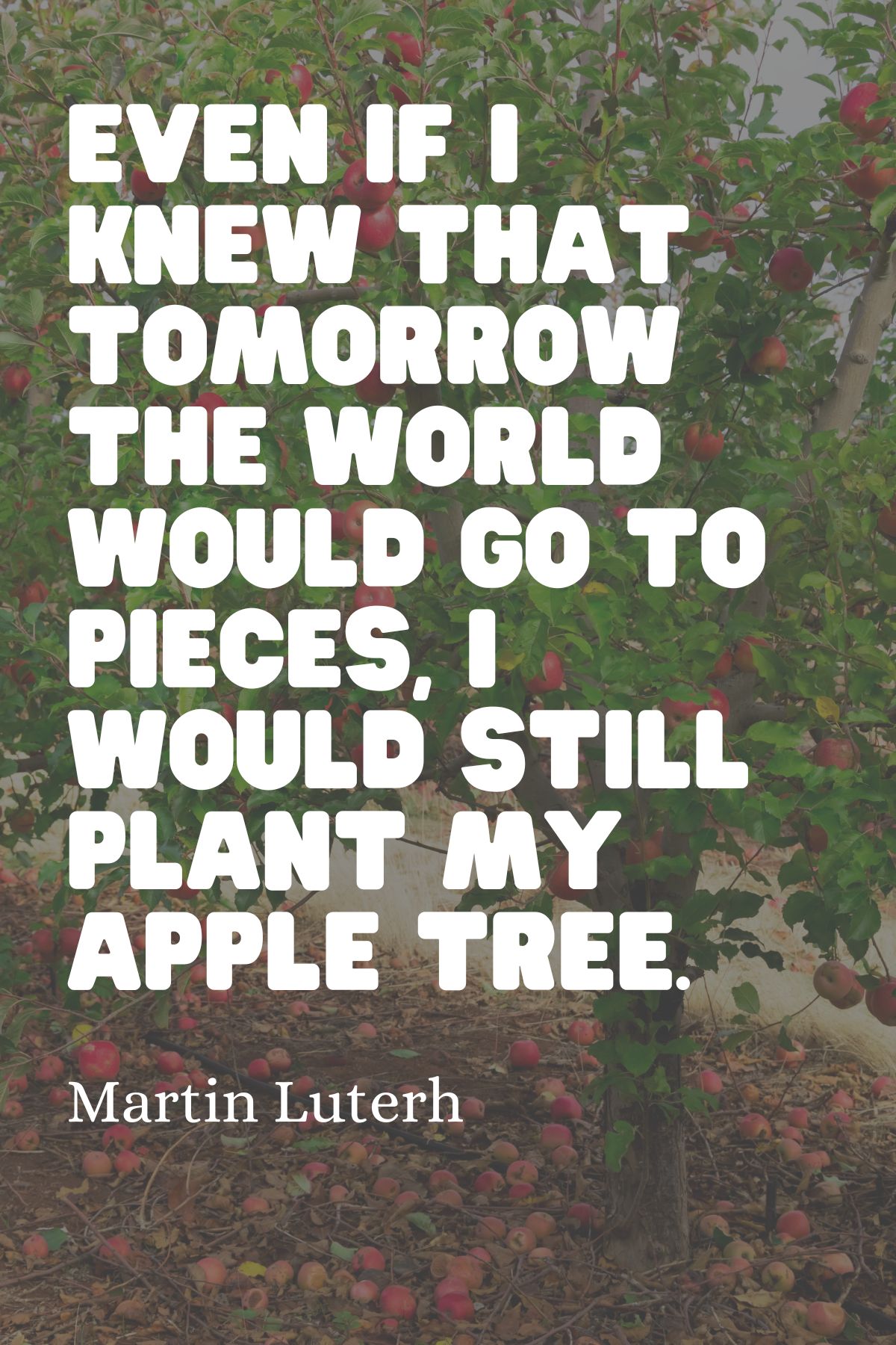 Quote stating "Even if I knew that tomorrow the world would go to pieces, I would still plant my apple tree."