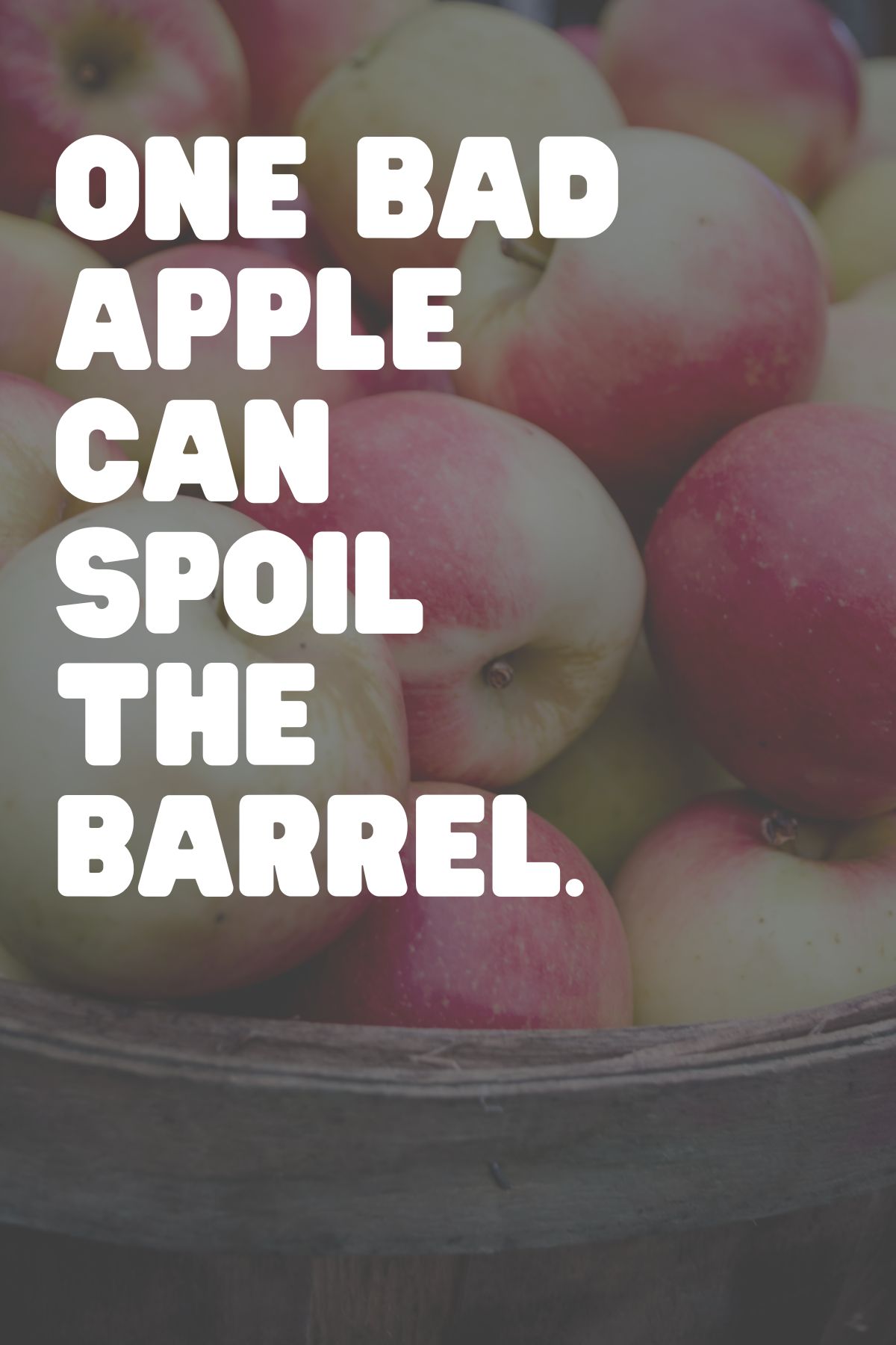 Apple quote saying "one bad apple can spoil the barrel. 