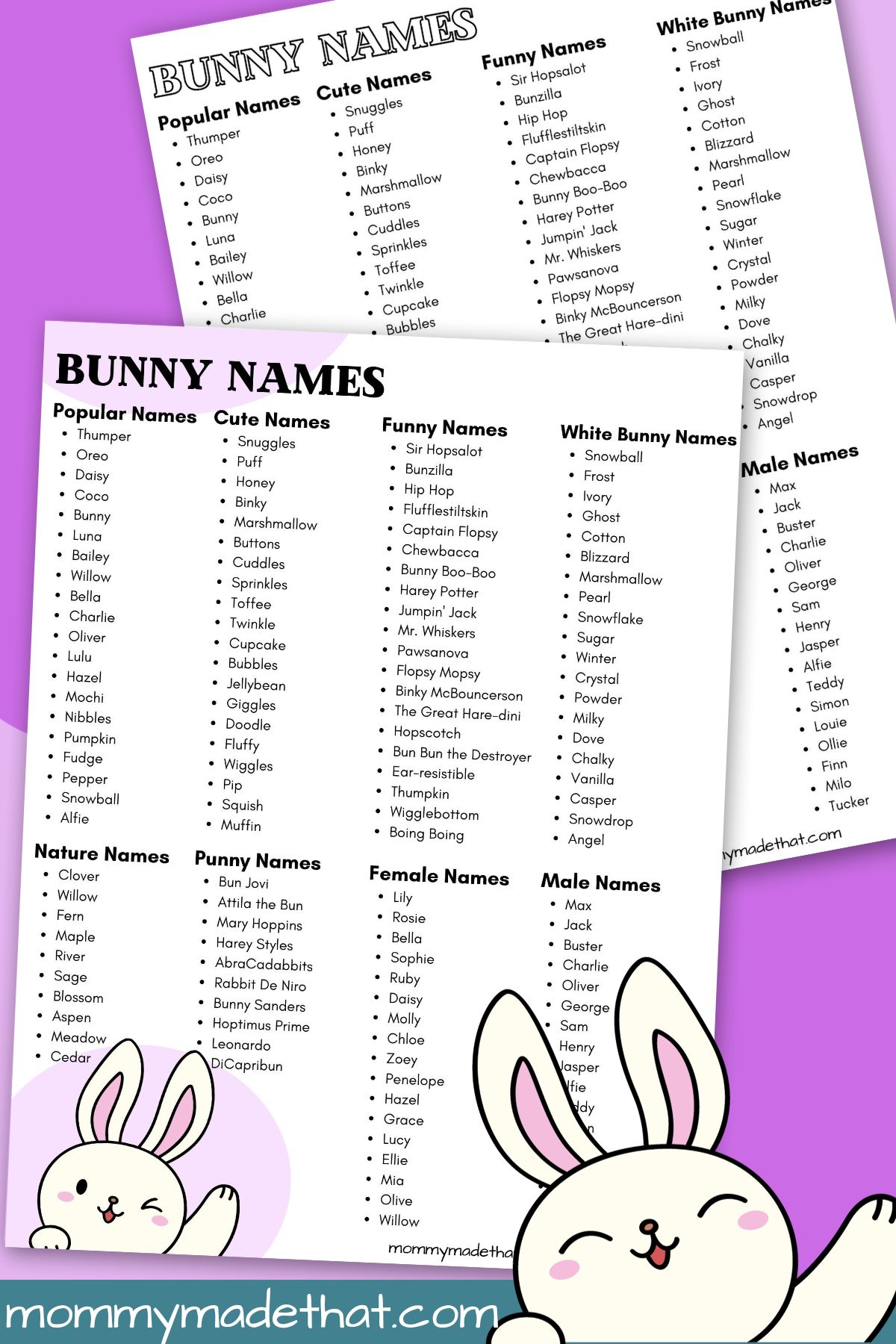 Bunny names.