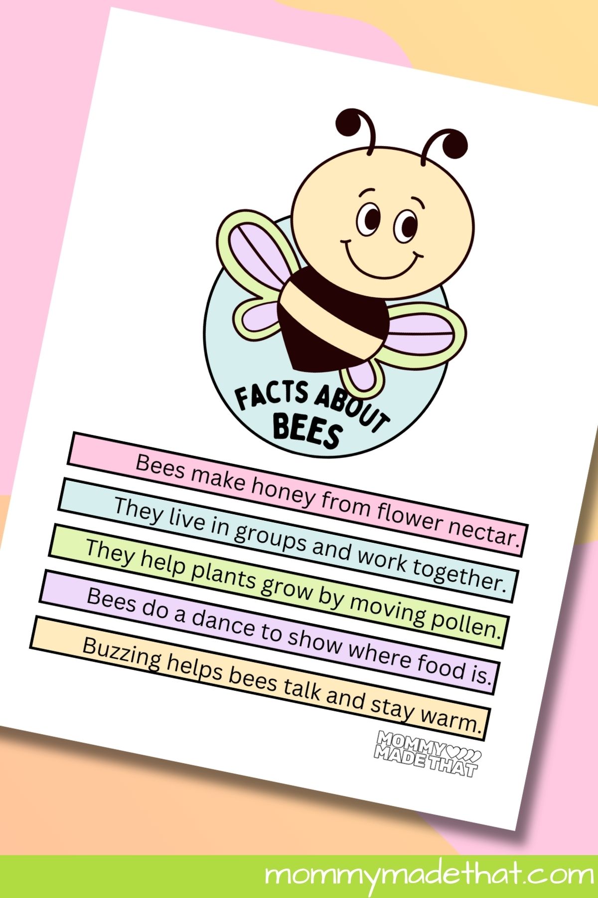 Facts about bees worksheet.