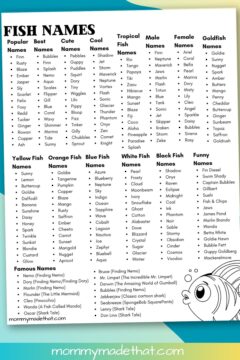 Fish Names: Cute, Funny & Unique Name Ideas