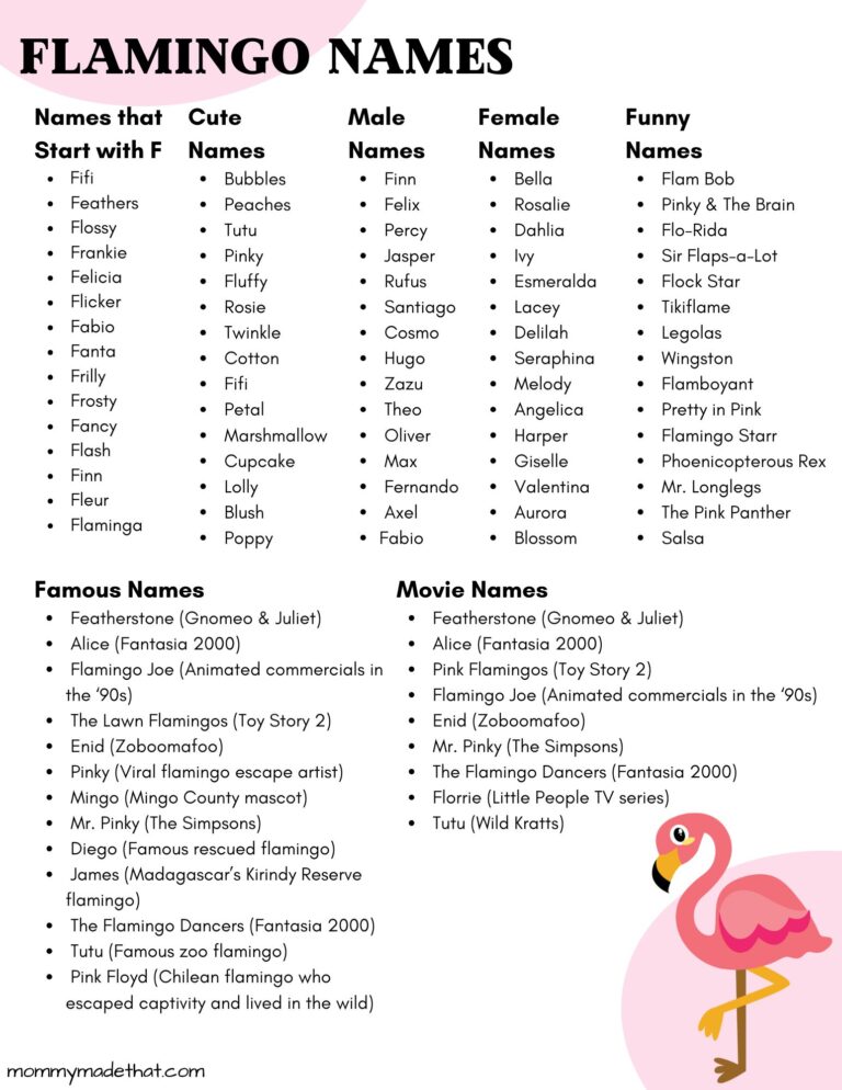 Funlings Names 100+ Best Flamingo Names: Cute, Funny & Unique Name Ideas