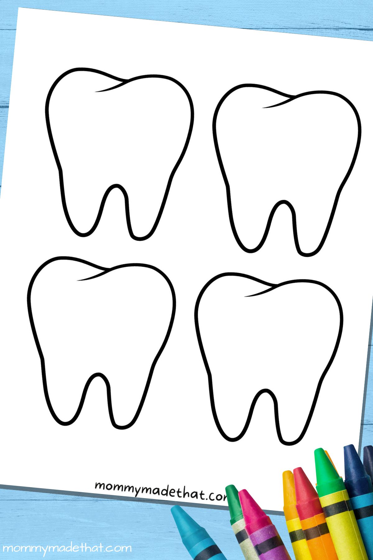 teeth outline