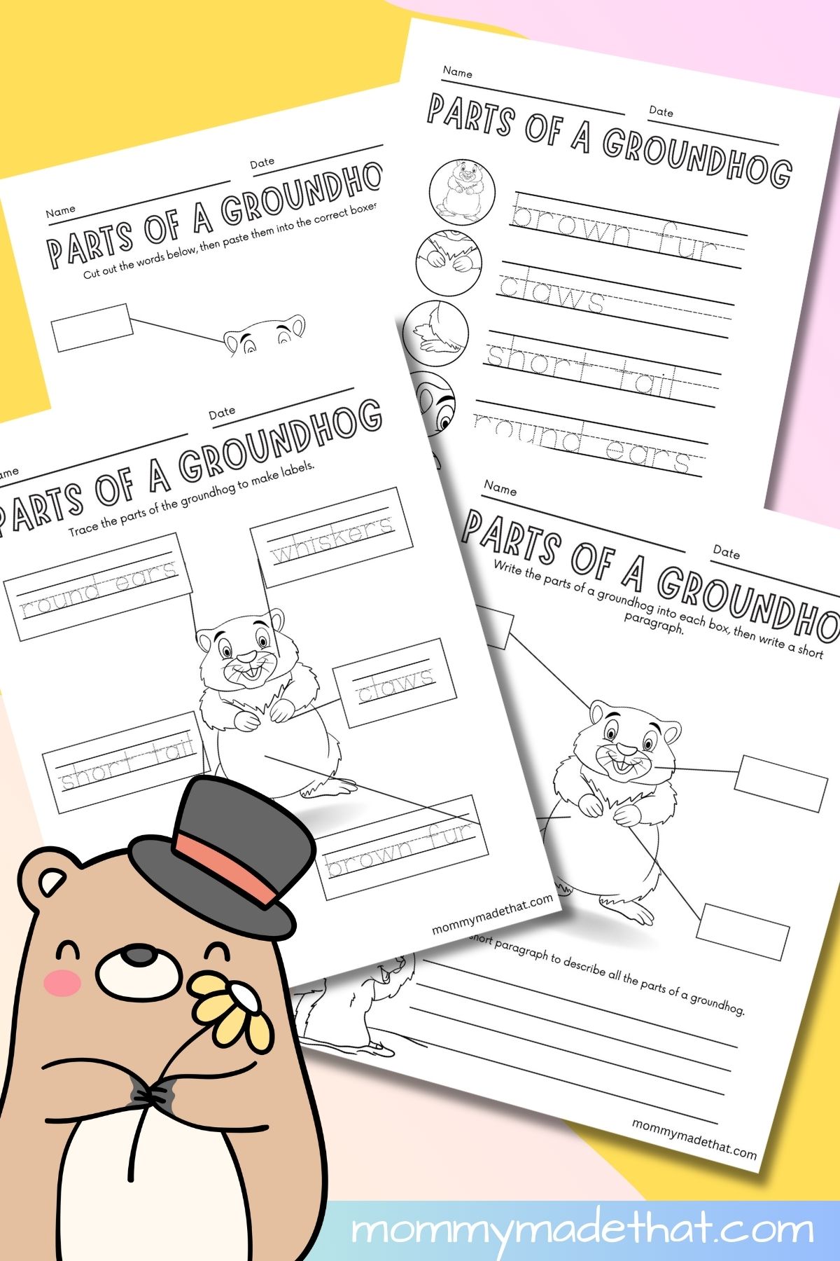 Groundhog day parts of a groundhog activity printables.