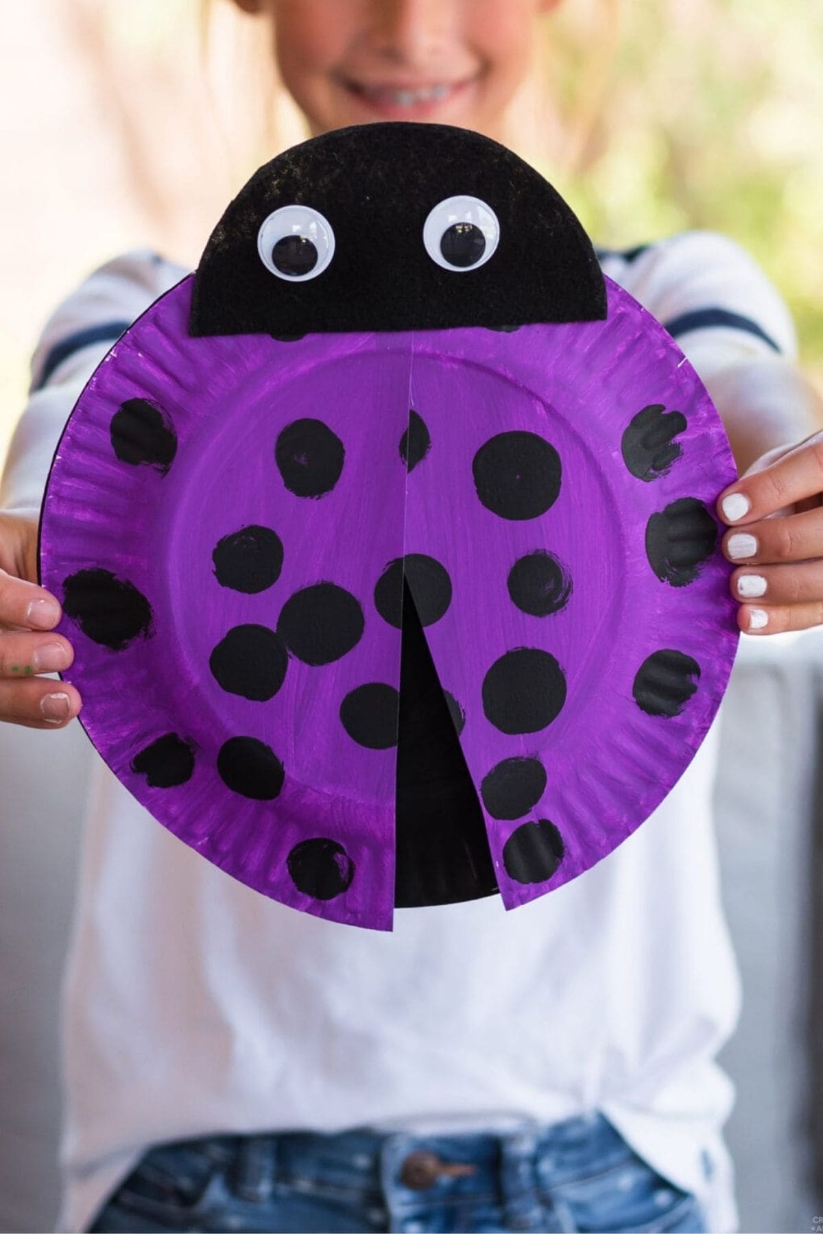 paper plate ladybug craft for kids