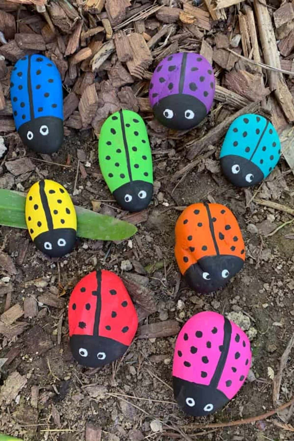 painted ladybug rocks