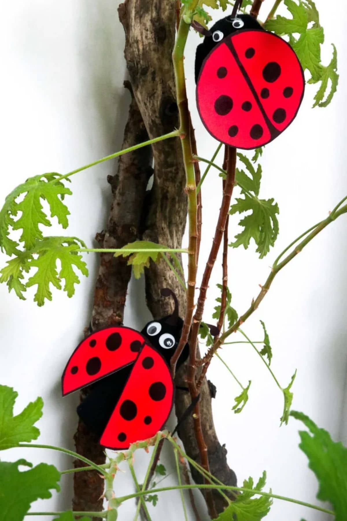 paper roll ladybugs
