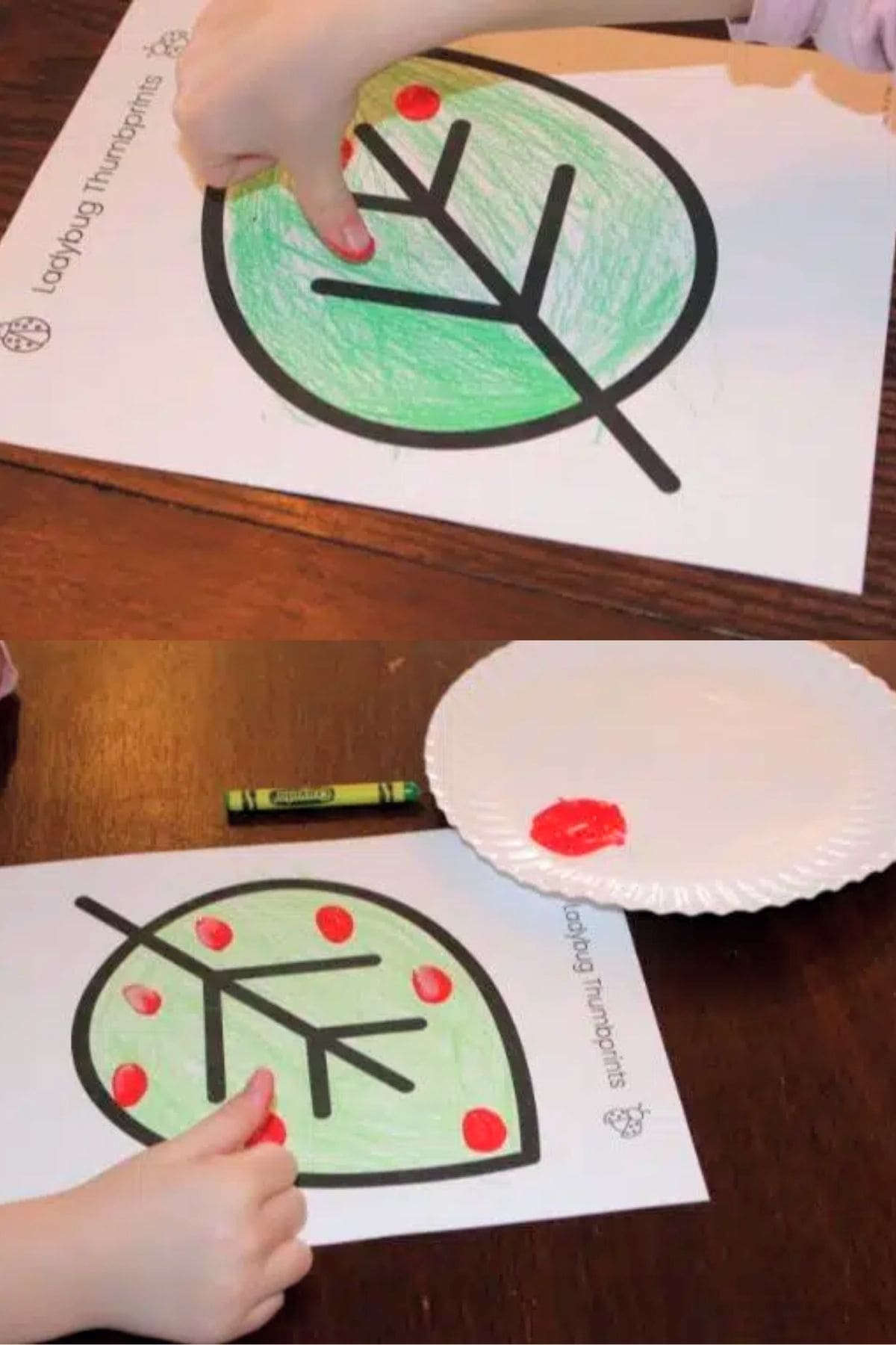 thumbprint ladybug activity