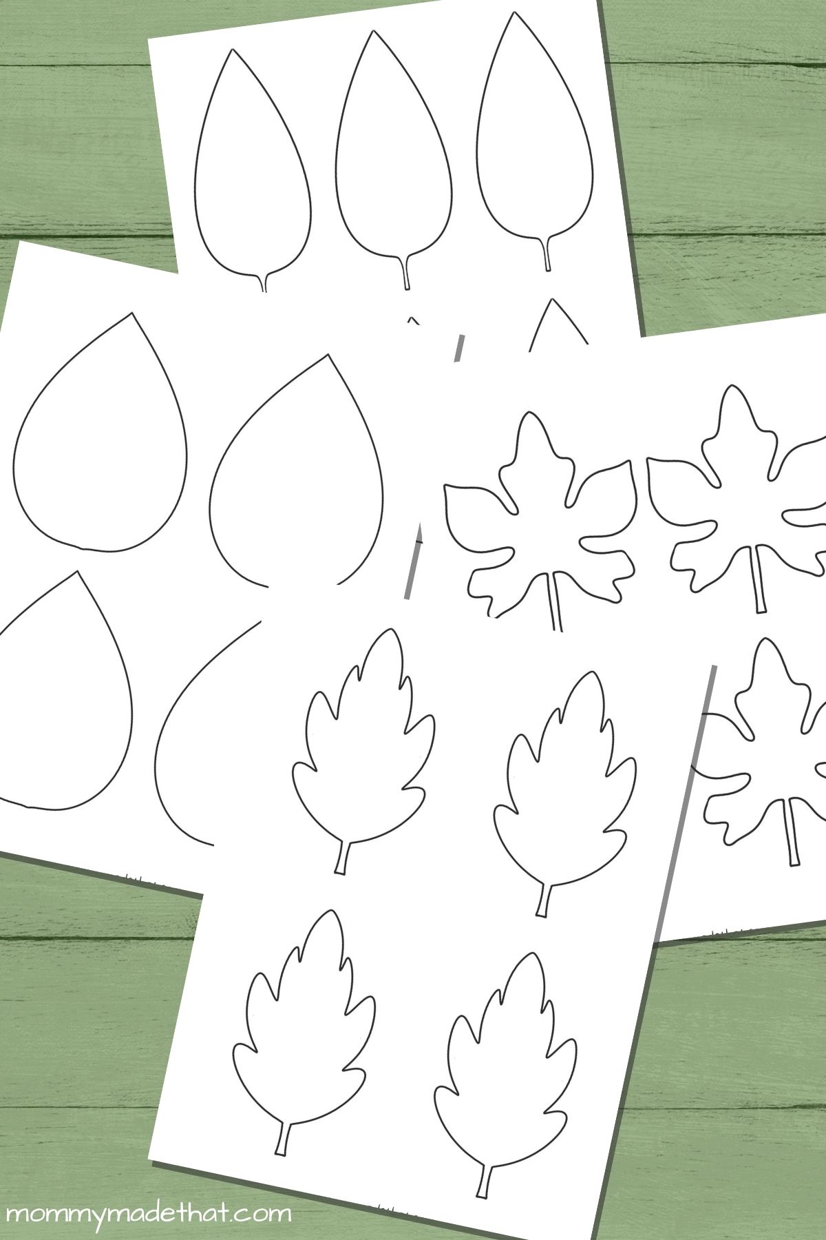 printable leaf outlines