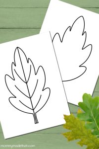 Free Leaf Templates &amp; Outlines: Tons of Printables!!