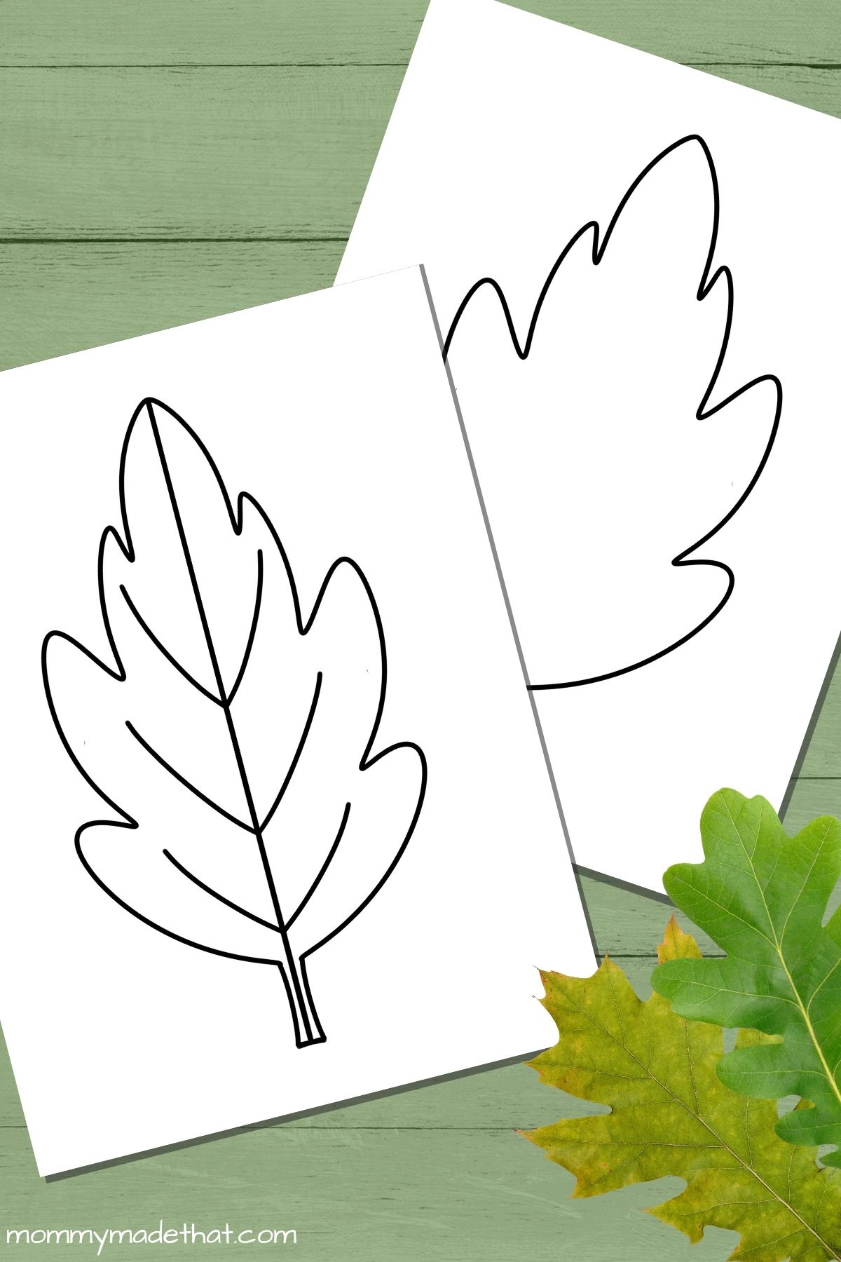 oak leaf template