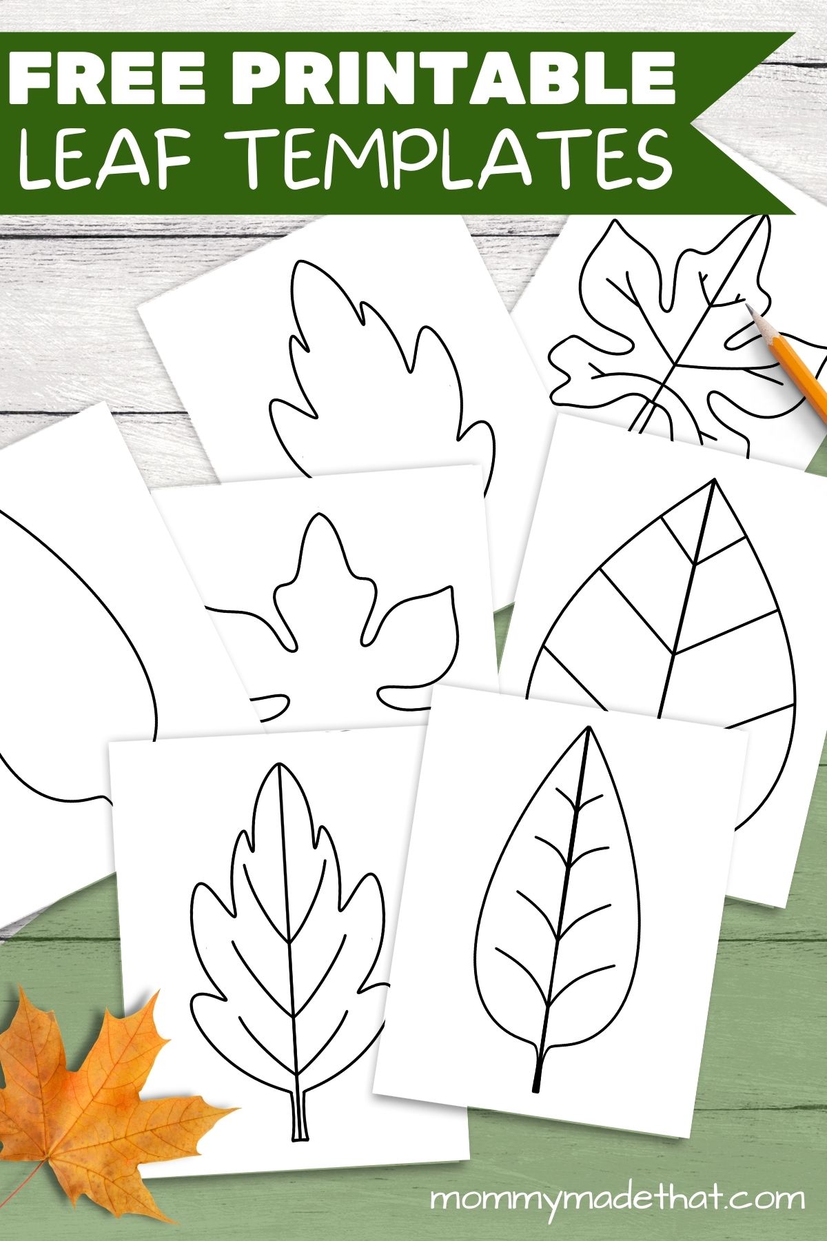 leaf templates