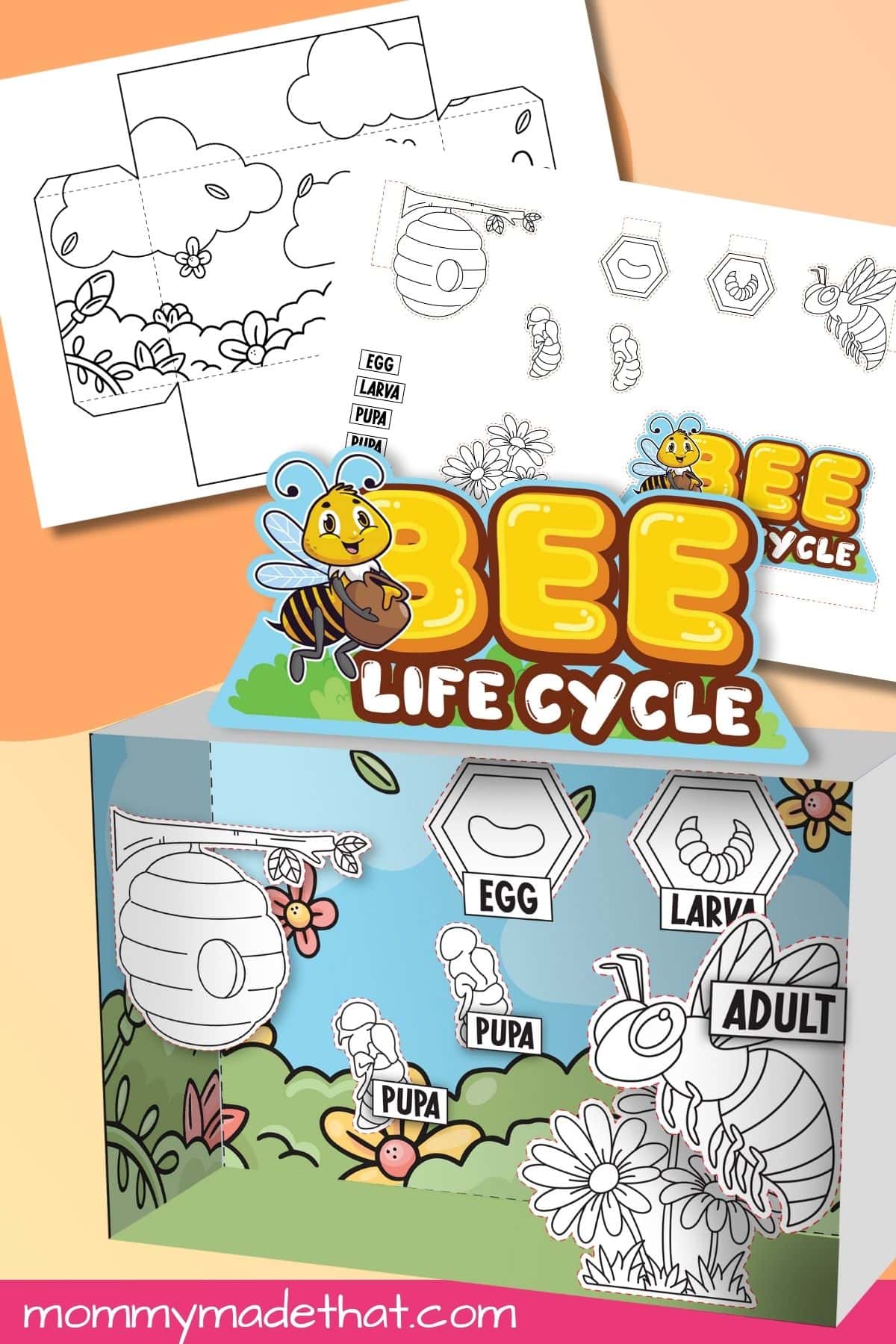 Life Cycle of a Bee Diorama (Free Printable)