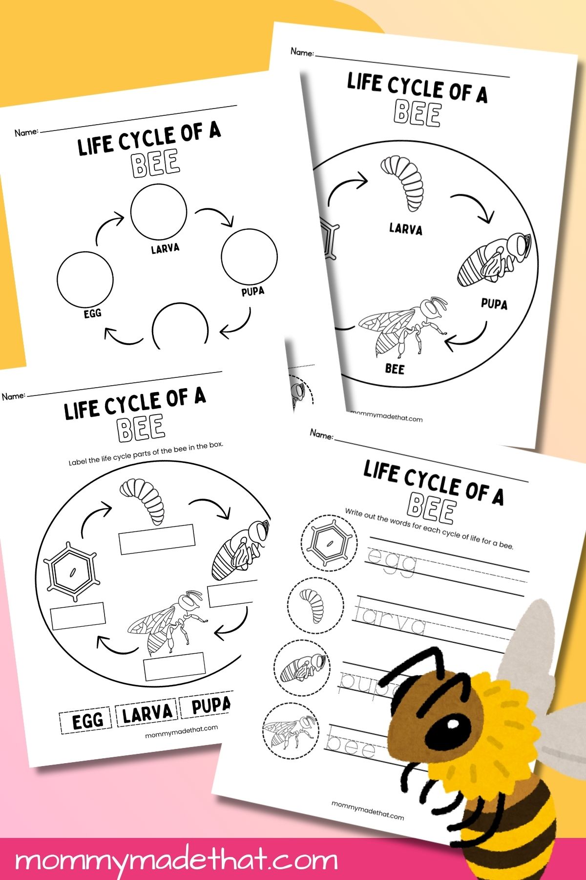 Life cycle of a bee worksheets.