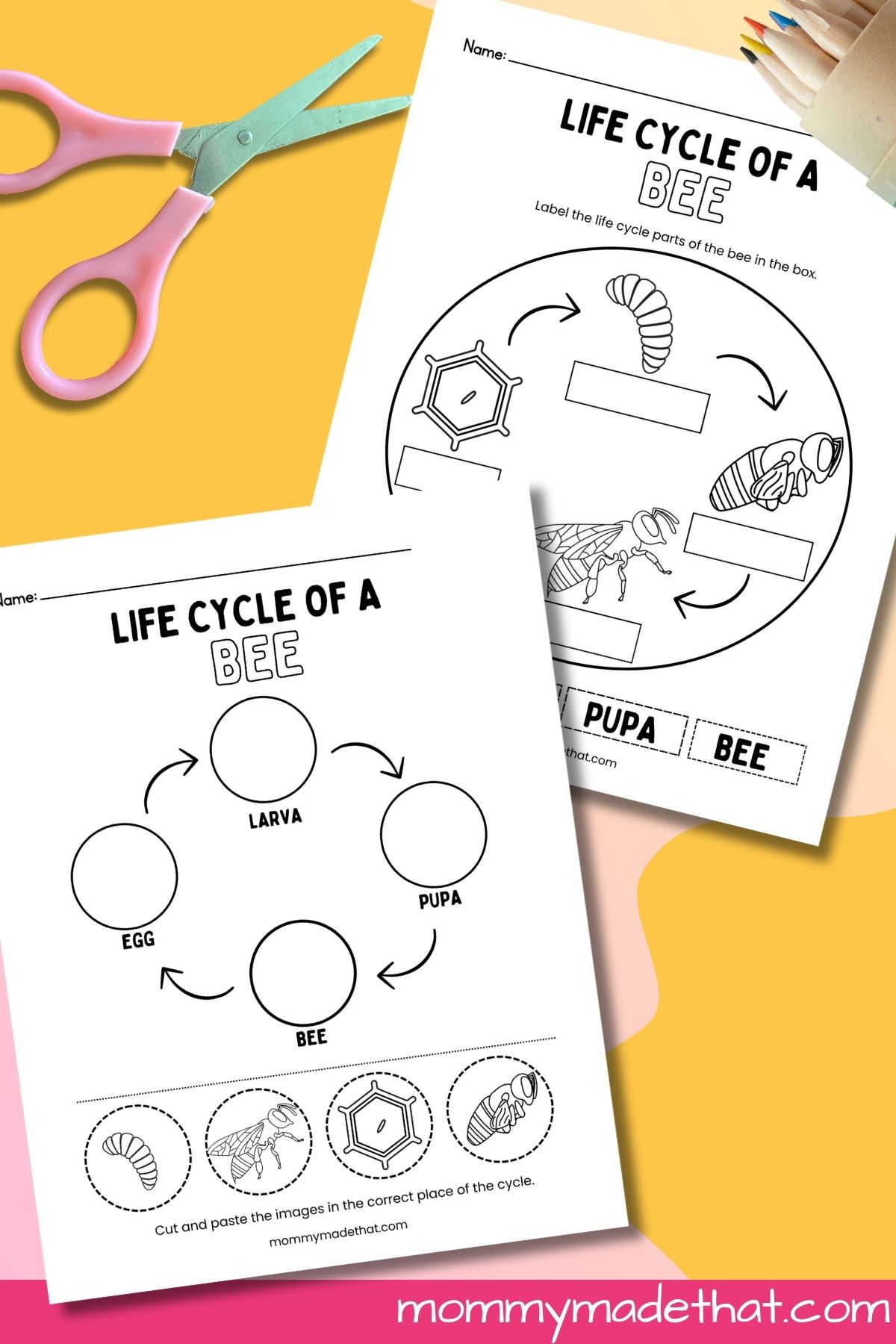 Life cycle of a bee worksheets.