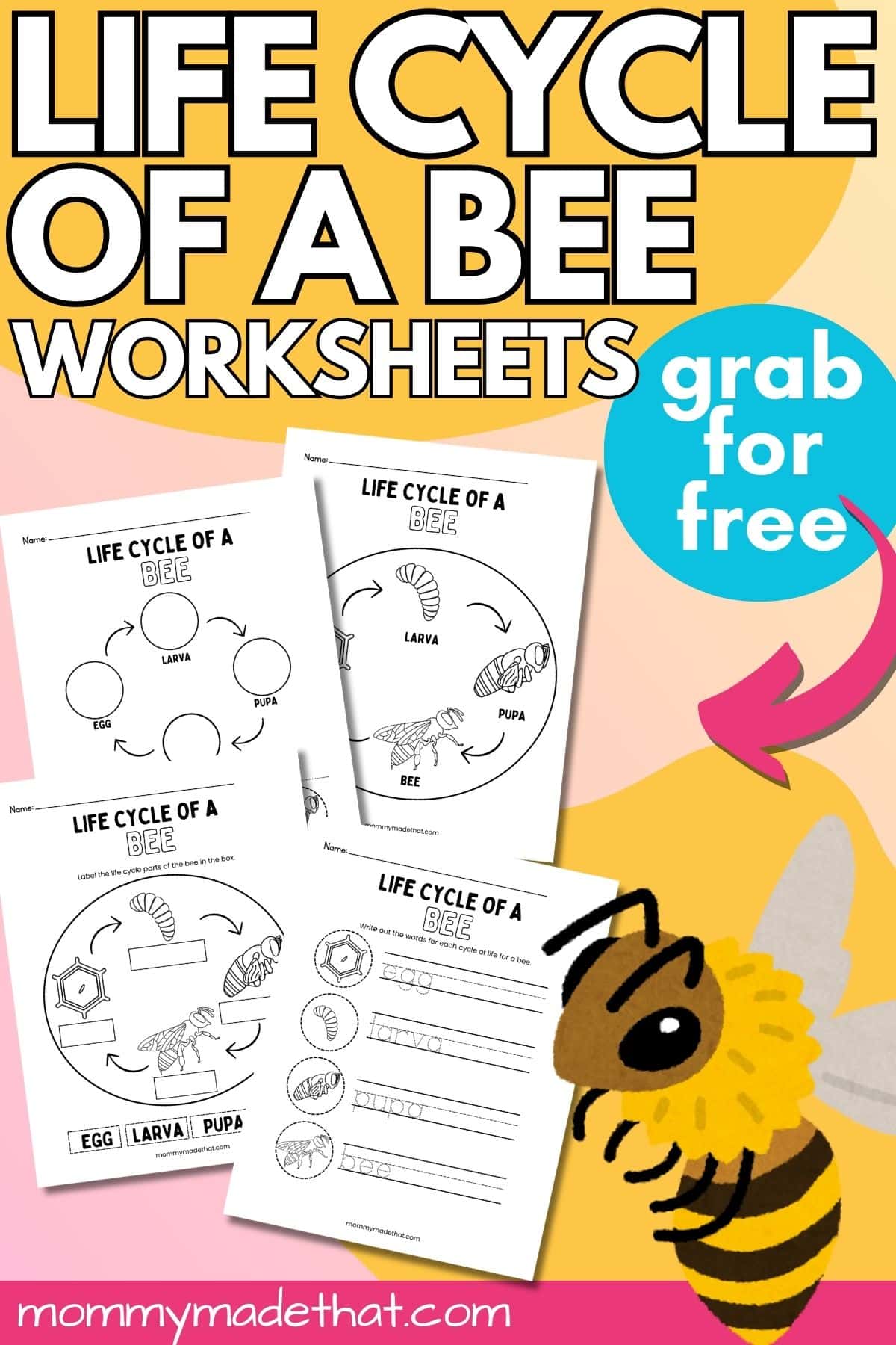 Life cycle of a bee worksheets.