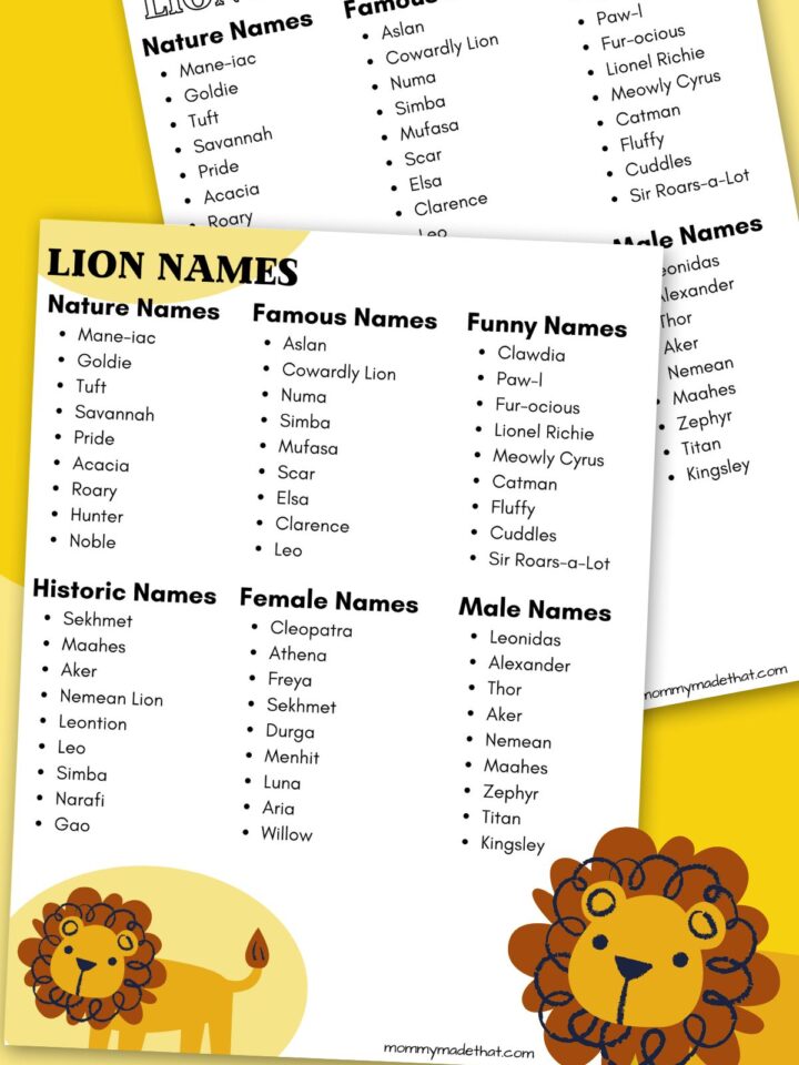 lion names