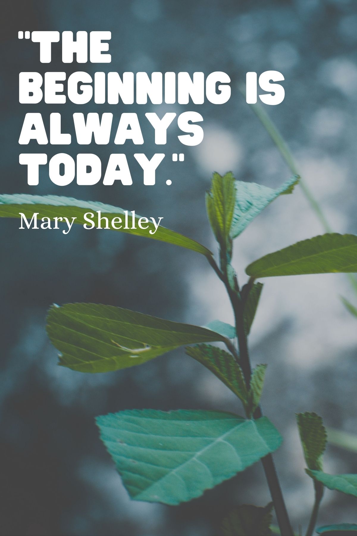 “The beginning is always today.” – Mary Shelley  Fresh beginning quote