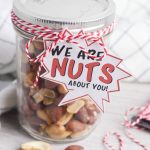 DIY nuts about you fathers day gfit