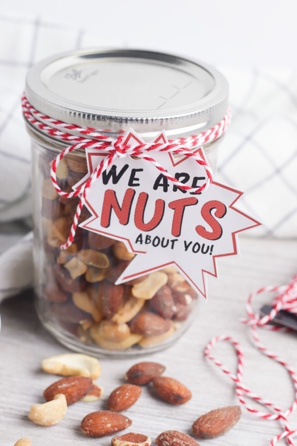 “Nuts About You” Fun Fathers Day Gift with Free Printable
