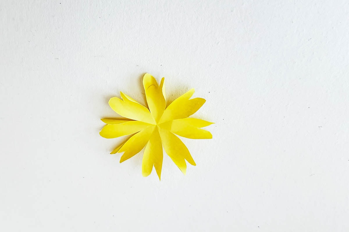 Flower petals ready for layering.