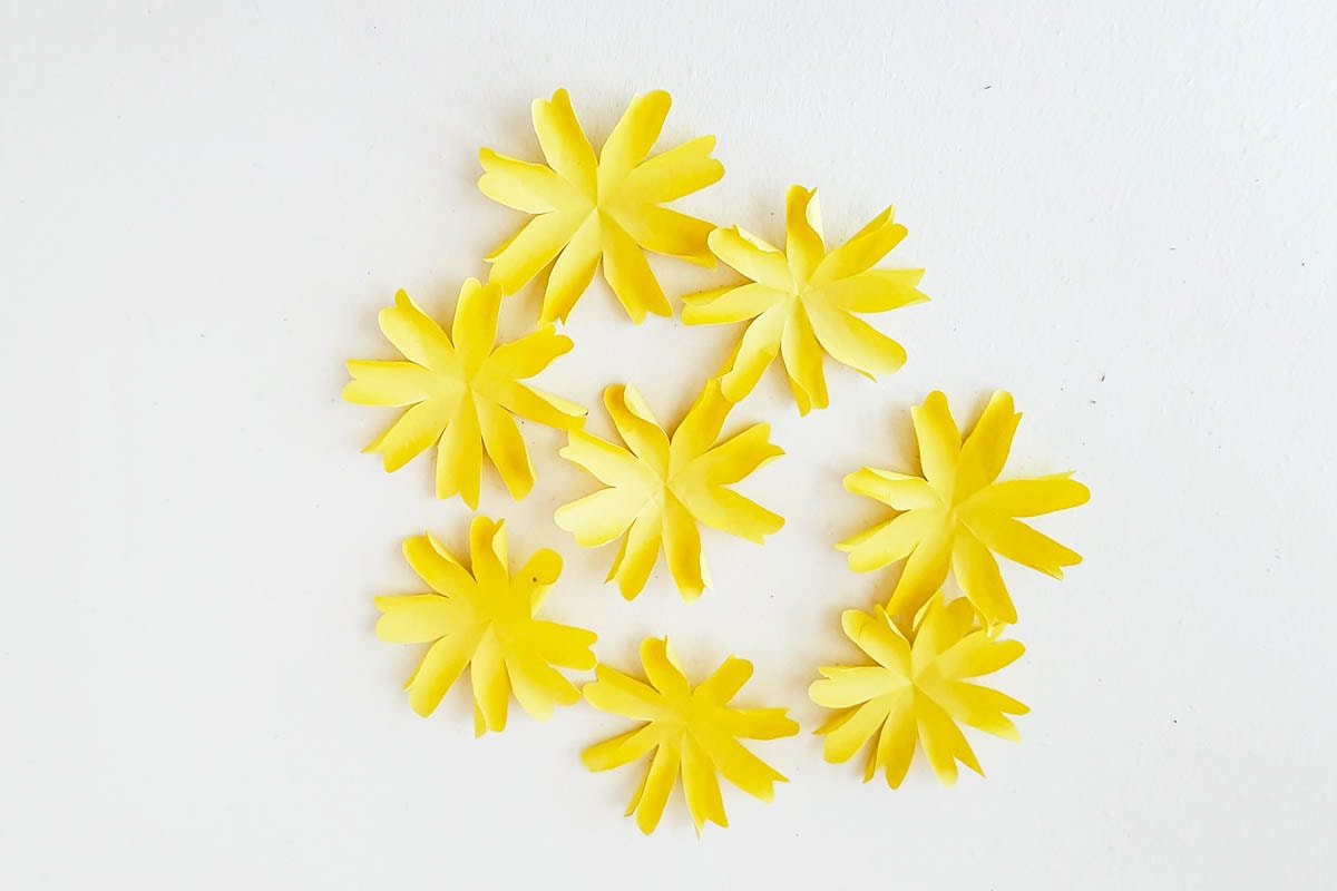Flower petals ready for layering.