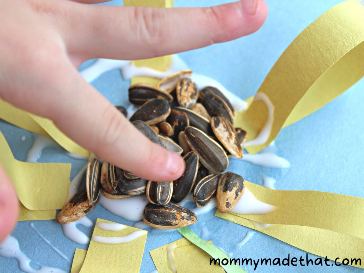 gluing sunflower seeds onto cetner of sunflower