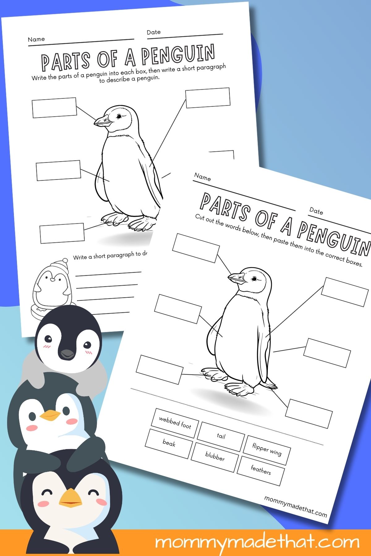 Parts of a penguin worksheet.