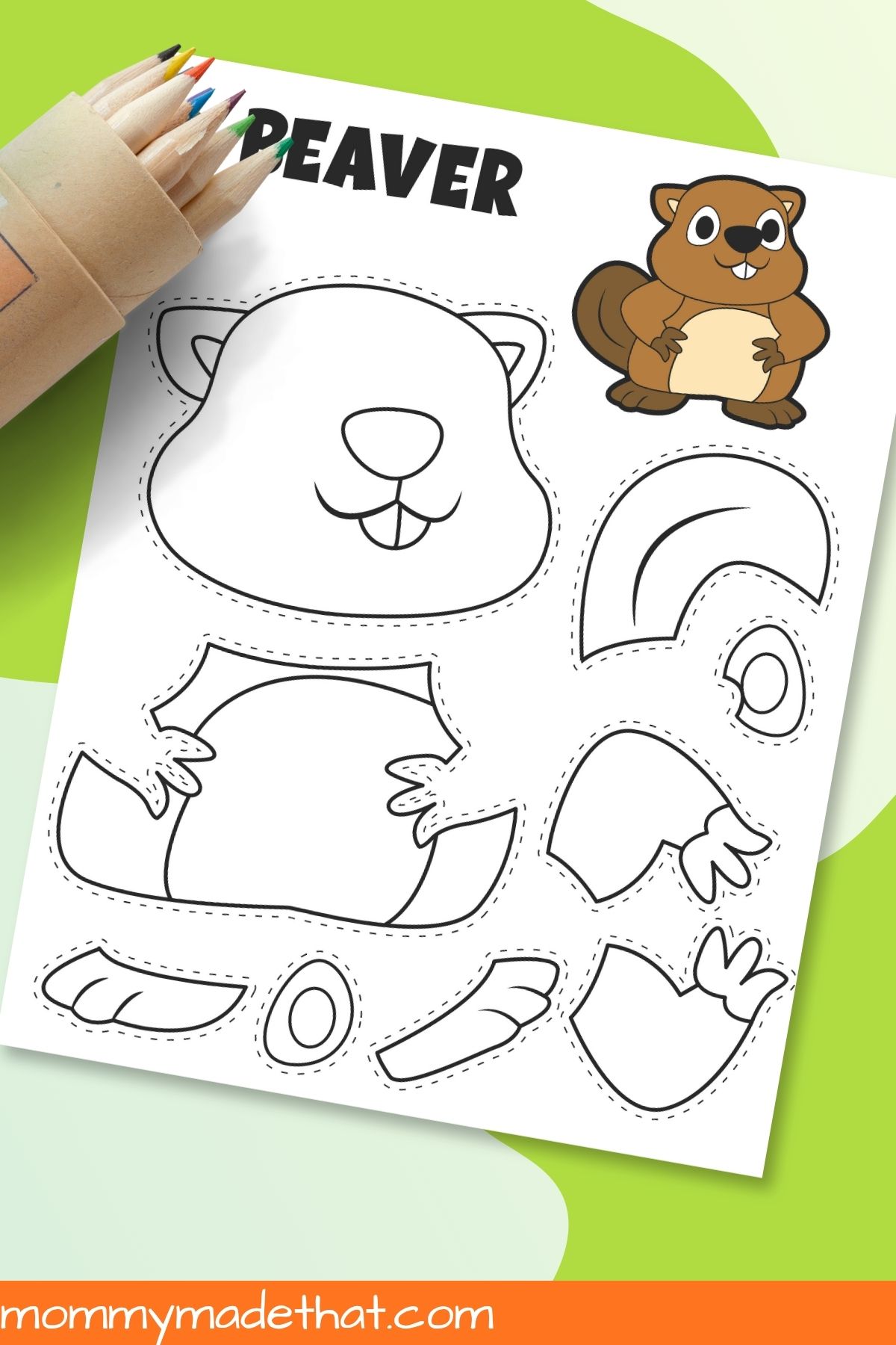 Beaver coloring template with colored pencils