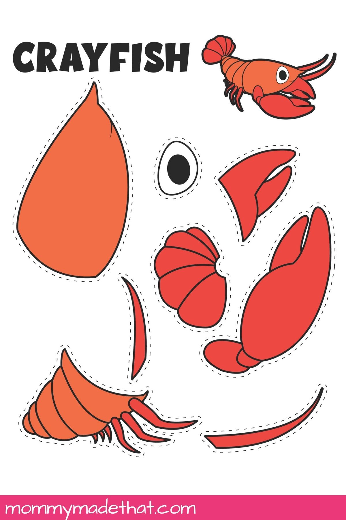 Crayfish craft pieces with dashed cutting guides