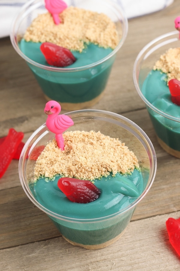 beach pudding cups