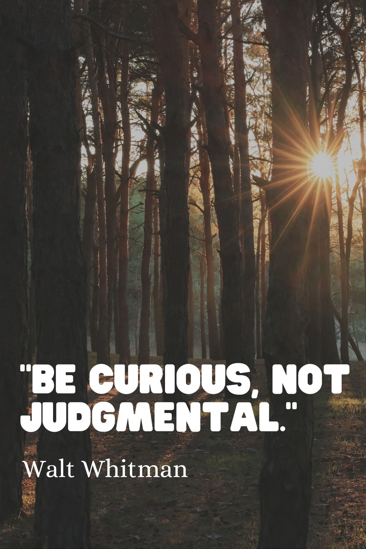 "Be curious, not judgmental." - Walt Whitman  Inspirational quotes