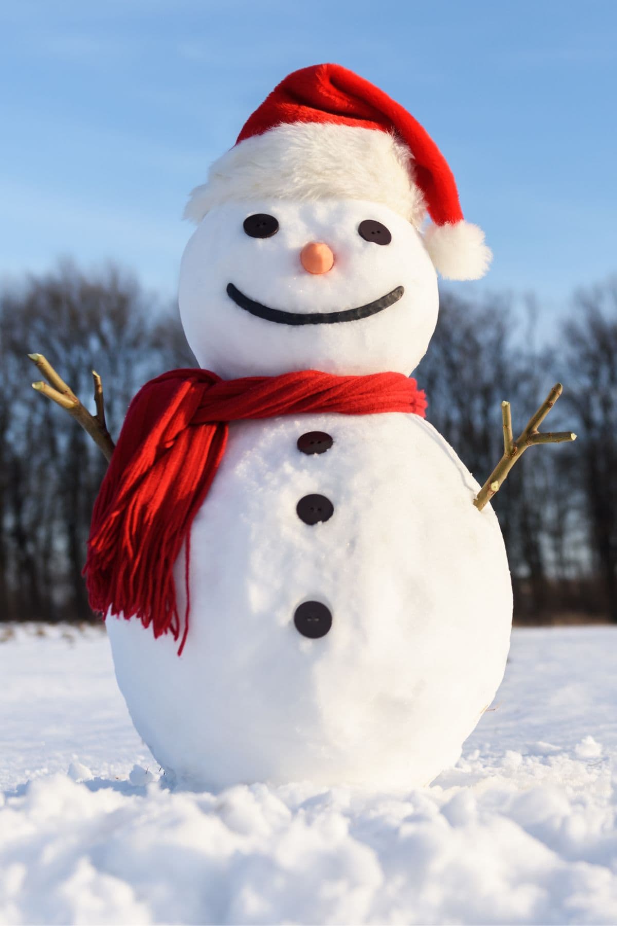 Funny shop snowman pictures