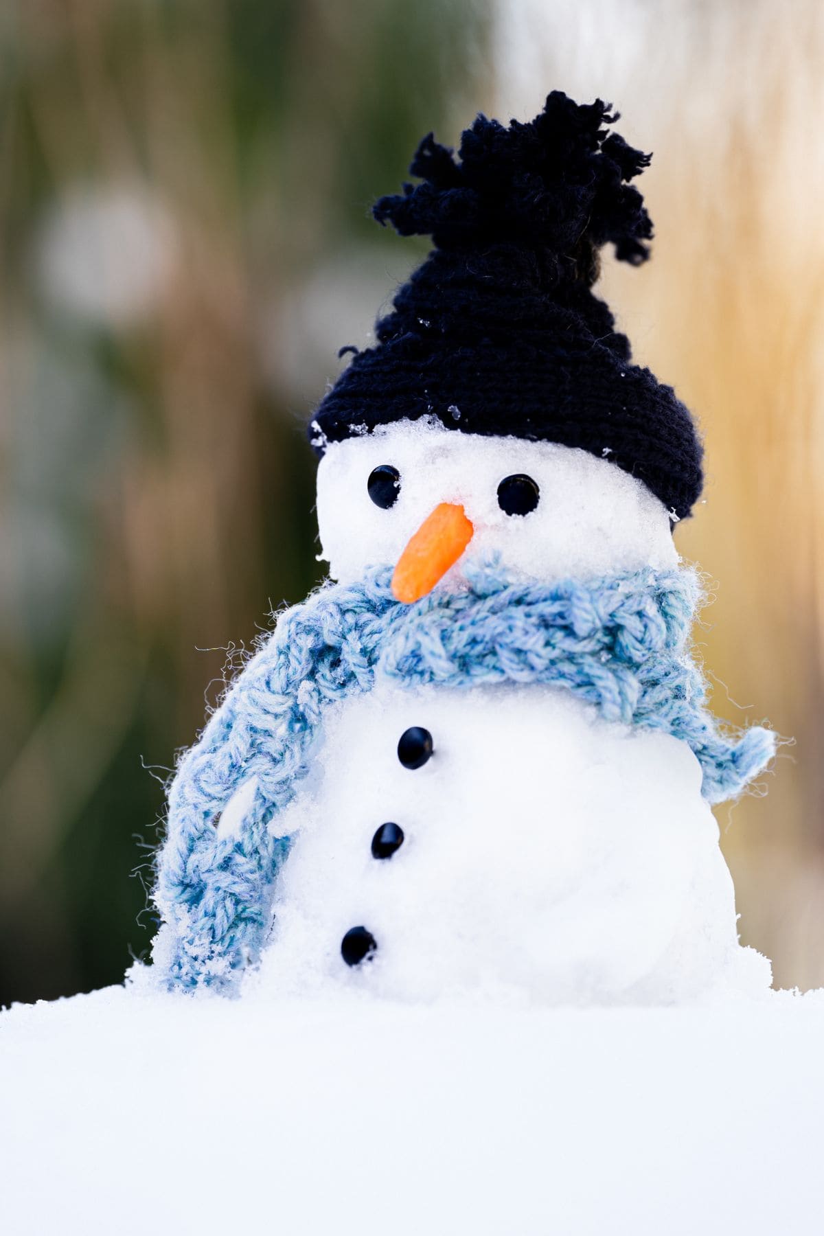The Best Snowman Quotes & Sayings