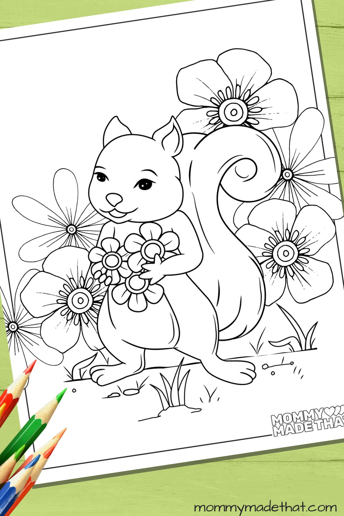 squirrel coloring sheets