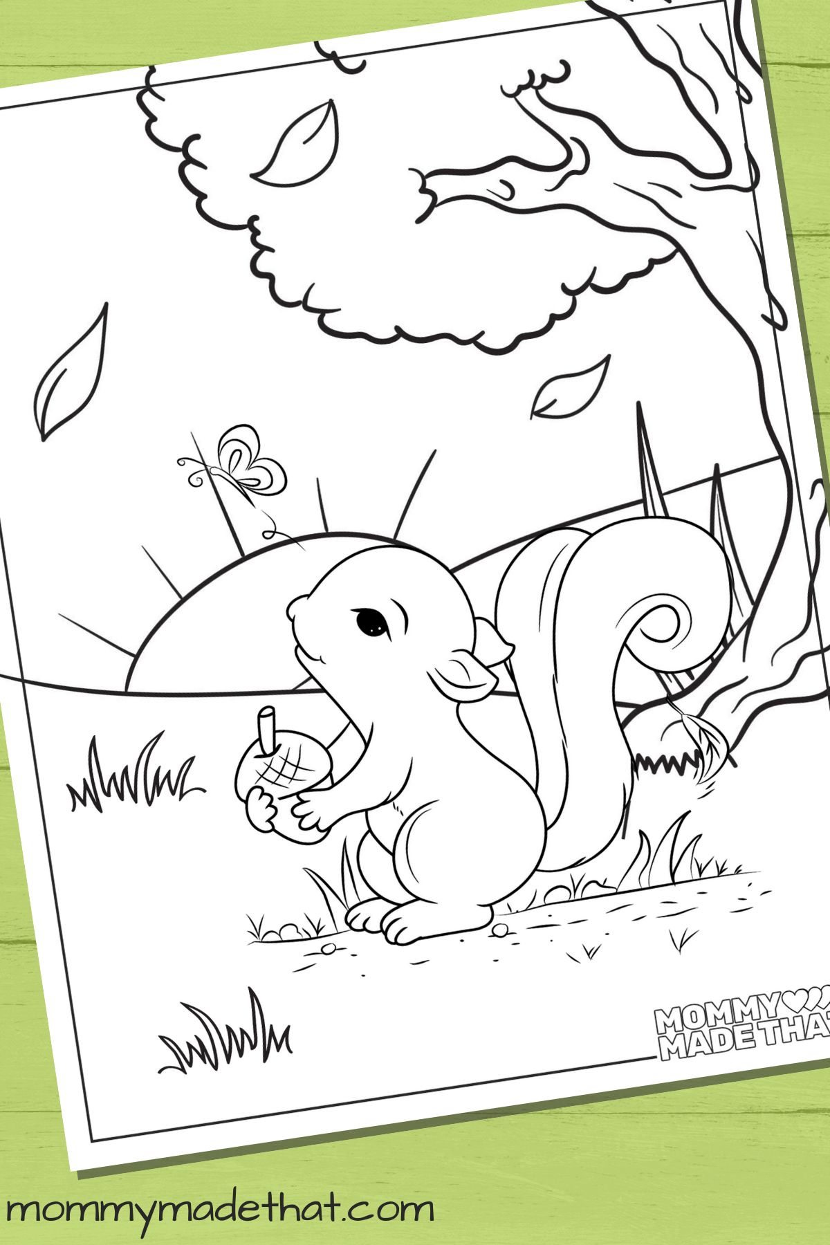 baby squirrel coloring page
