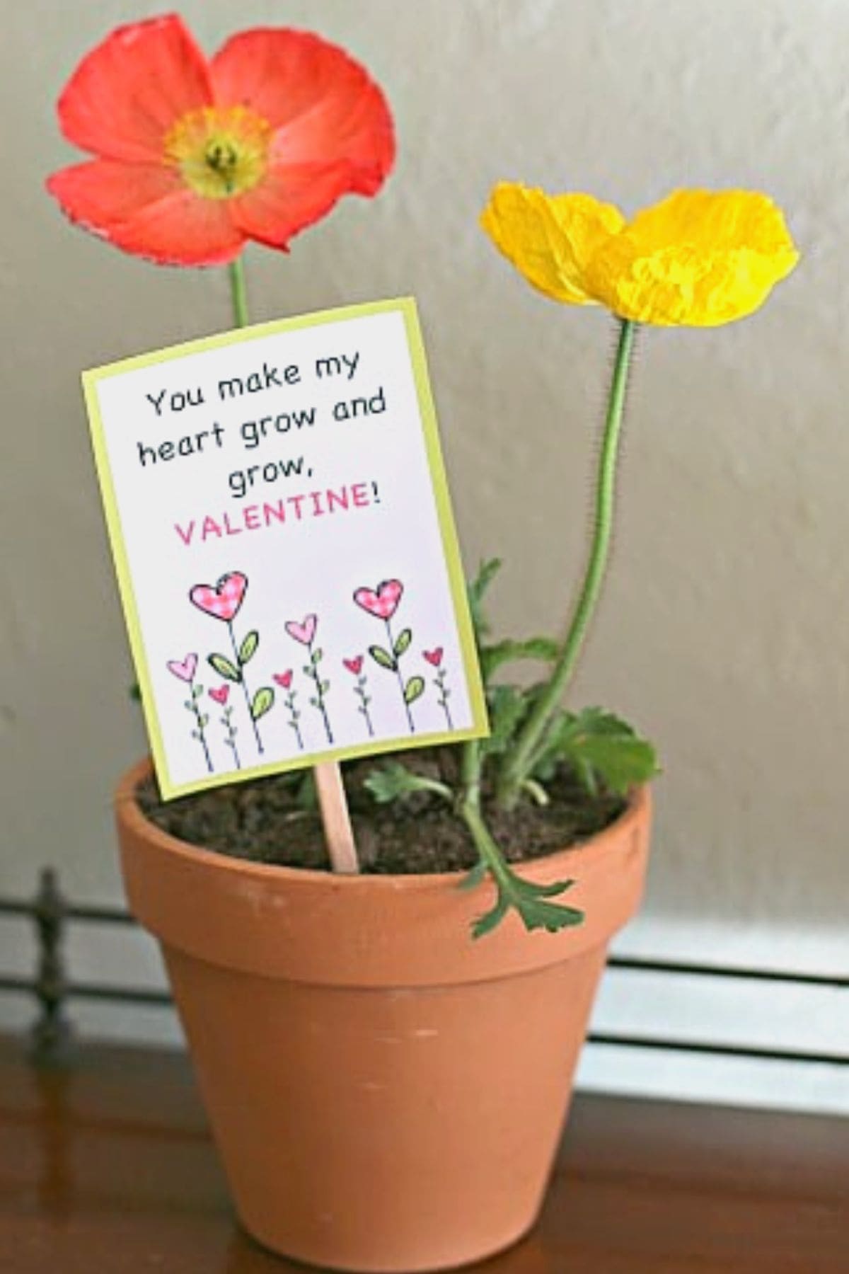 cute handmade plant and seed teacher valentine day gift idea
