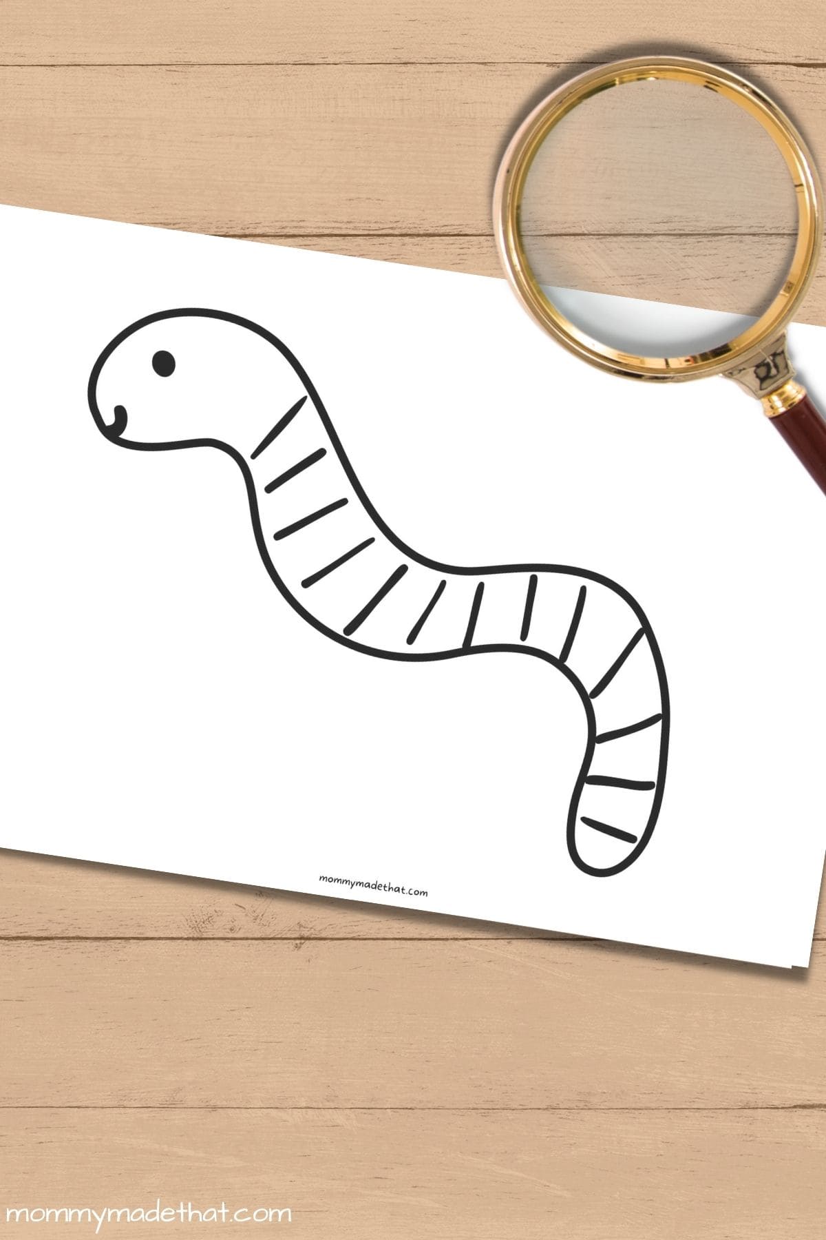 worm outline